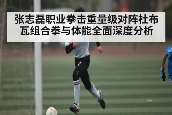 张志磊职业拳击重量级对阵杜布瓦组合拳与体能全面深度分析