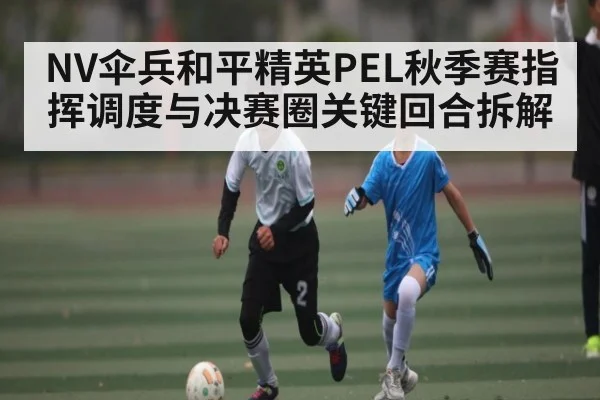 NV伞兵和平精英PEL秋季赛指挥调度与决赛圈关键回合拆解
